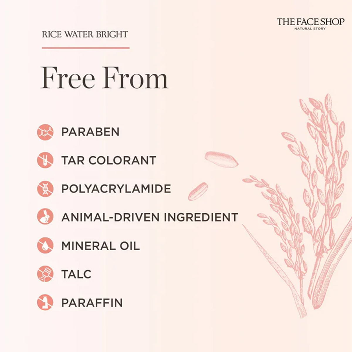THE FACE SHOP RICE WATER BRIGH - مراجعة Luxury Skincare Aesthetic وسعره
